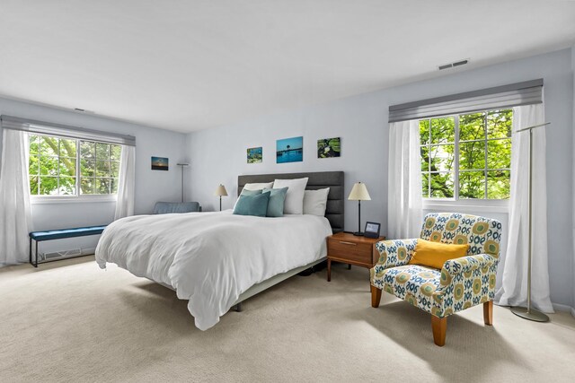 1101 Oak St, Winnetka, IL 60093 - bedroom featuring light colored carpet