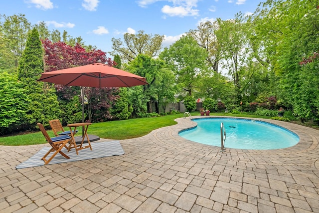 1101 Oak St, Winnetka, IL 60093 - swimming pool featuring a patio, a lawn, and view of wooded area