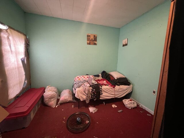802 Locust St, Prophetstown, IL 61277 - view of carpeted bedroom