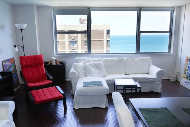 6301 N Sheridan Rd Unit 22N, Chicago, IL 60660 - living room featuring wood finished floors and a water view