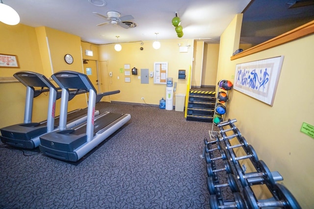 6301 N Sheridan Rd Unit 22N, Chicago, IL 60660 - gym with carpet and a ceiling fan