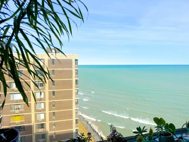 6301 N Sheridan Rd Unit 22N, Chicago, IL 60660 - water view with local beach