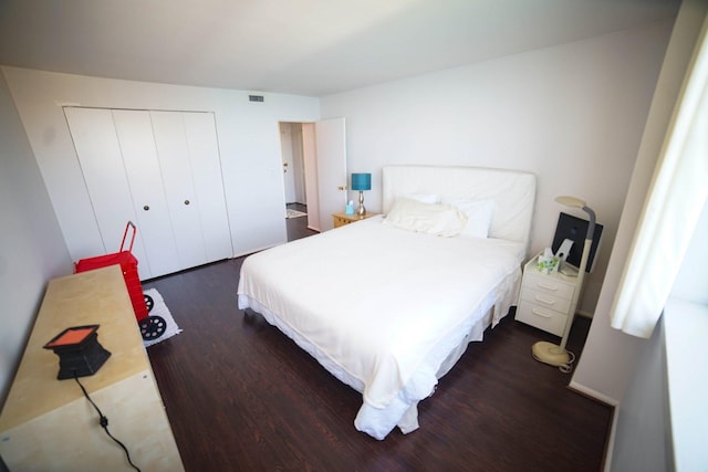 6301 N Sheridan Rd Unit 22N, Chicago, IL 60660 - bedroom with dark wood-type flooring and a closet