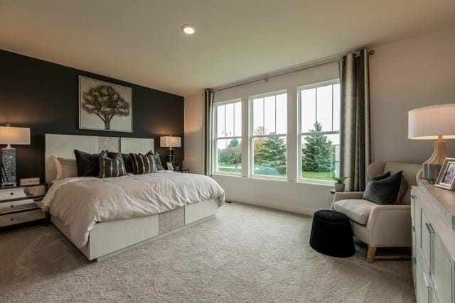 213 Rhinebeck Way, Algonquin, IL 60102 - carpeted bedroom featuring multiple windows and recessed lighting