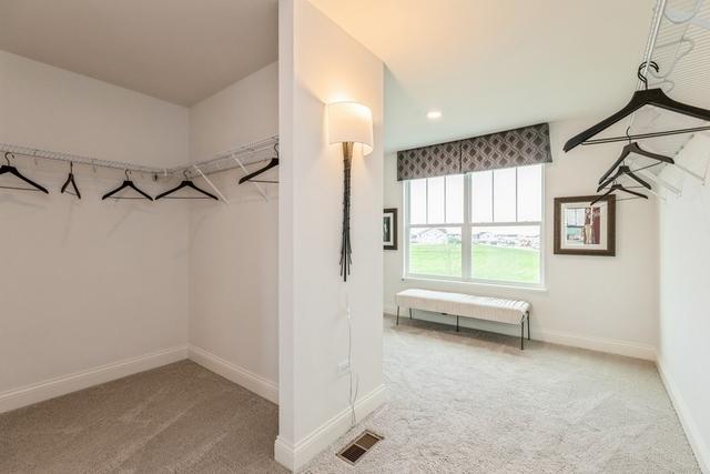 213 Rhinebeck Way, Algonquin, IL 60102 - spacious closet featuring carpet