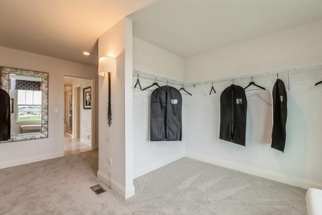 213 Rhinebeck Way, Algonquin, IL 60102 - walk in closet with carpet