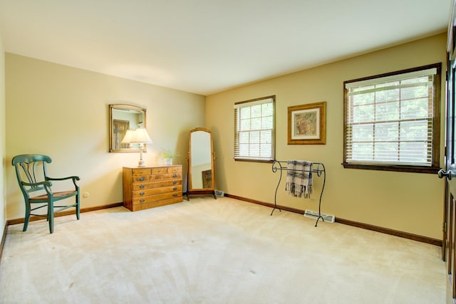 1056 Whirlaway Ave, Naperville, IL 60540 - living area featuring carpet and baseboards