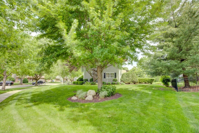 1056 Whirlaway Ave, Naperville, IL 60540 - view of yard