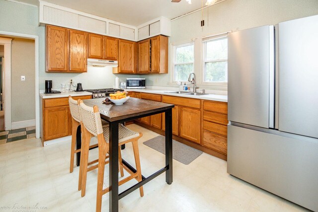 456 S Indiana Ave, Kankakee, IL 60901 - kitchen with appliances with stainless steel finishes, a sink, under cabinet range hood, light flooring, and brown cabinetry