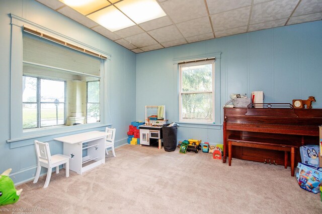 456 S Indiana Ave, Kankakee, IL 60901 - recreation room with carpet floors and a paneled ceiling