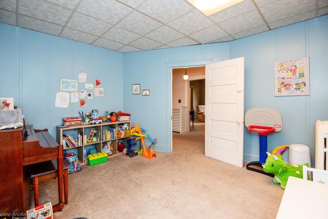 456 S Indiana Ave, Kankakee, IL 60901 - recreation room with a drop ceiling, a decorative wall, and carpet floors