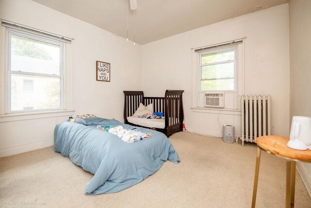 456 S Indiana Ave, Kankakee, IL 60901 - carpeted bedroom featuring radiator