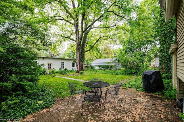 456 S Indiana Ave, Kankakee, IL 60901 - view of grassy yard featuring a patio area