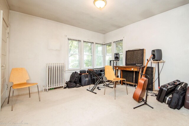 456 S Indiana Ave, Kankakee, IL 60901 - office featuring radiator heating unit and carpet flooring