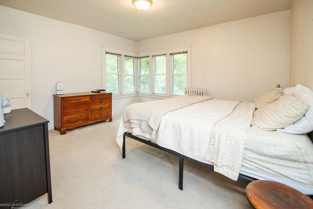 456 S Indiana Ave, Kankakee, IL 60901 - carpeted bedroom with radiator heating unit