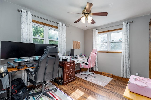 907 Parks Ln, Ottawa, IL 61350 - office space featuring plenty of natural light, wood finished floors, a ceiling fan, and baseboards