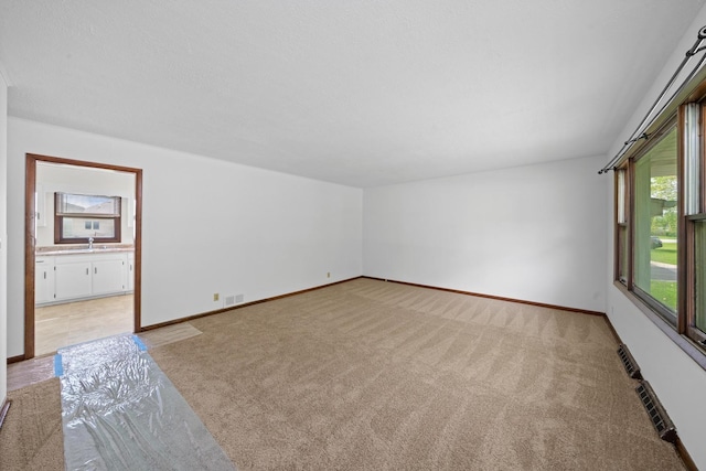 119 Cook Ct, Somonauk, IL 60552 - spare room with light colored carpet, a sink, and baseboards