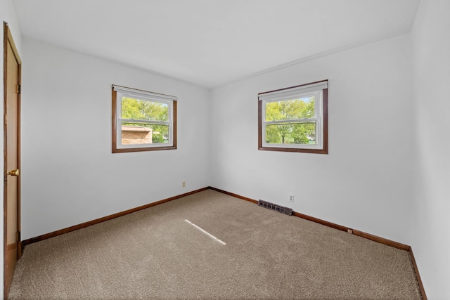 119 Cook Ct, Somonauk, IL 60552 - unfurnished bedroom with carpet floors and baseboards