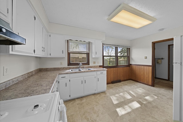 119 Cook Ct, Somonauk, IL 60552 - kitchen featuring a sink, range, a wainscoted wall, white cabinets, and under cabinet range hood