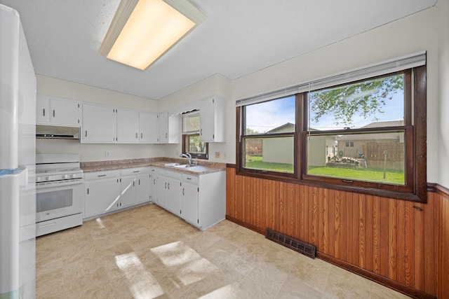 119 Cook Ct, Somonauk, IL 60552 - kitchen featuring white range oven, a sink, range hood, wooden walls, and light countertops
