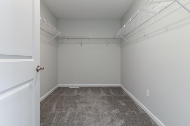 1406 Woodbine Rd Unit 1, Bloomington, IL 61704 - walk in closet featuring carpet floors