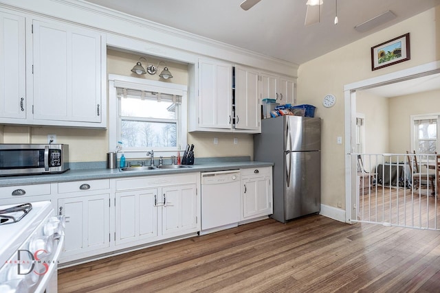 22386 N 3400 E Rd, Emington, IL 60934 - kitchen with appliances with stainless steel finishes, a sink, wood finished floors, ceiling fan, and white cabinets
