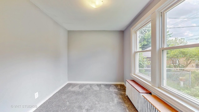 7832 S Paxton Ave, Chicago, IL 60649 - carpeted spare room featuring plenty of natural light
