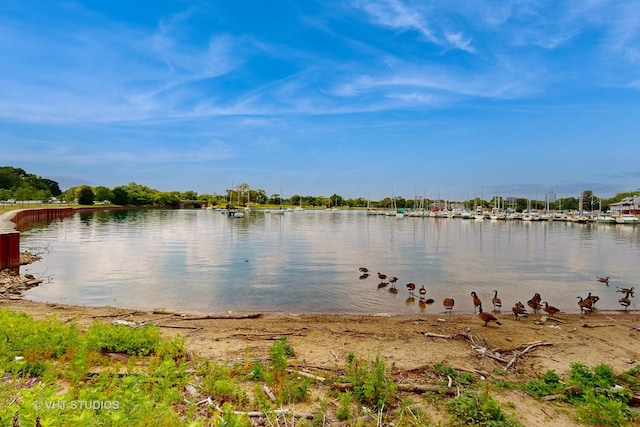 7832 S Paxton Ave, Chicago, IL 60649 - water view
