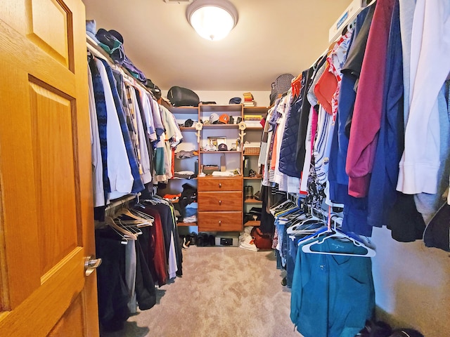 5831 W 109th St, Chicago Ridge, IL 60415 - spacious closet featuring carpet floors