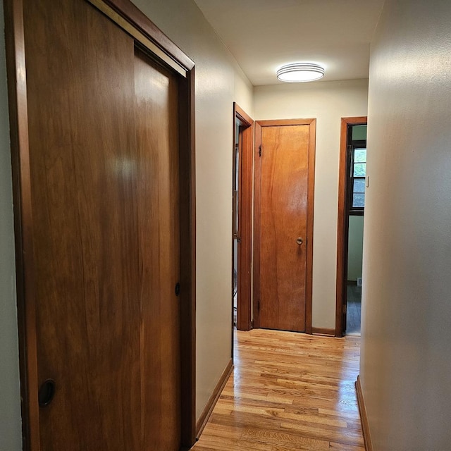 6 Johnson St, East Dundee, IL 60118 - corridor with light wood-style floors and baseboards
