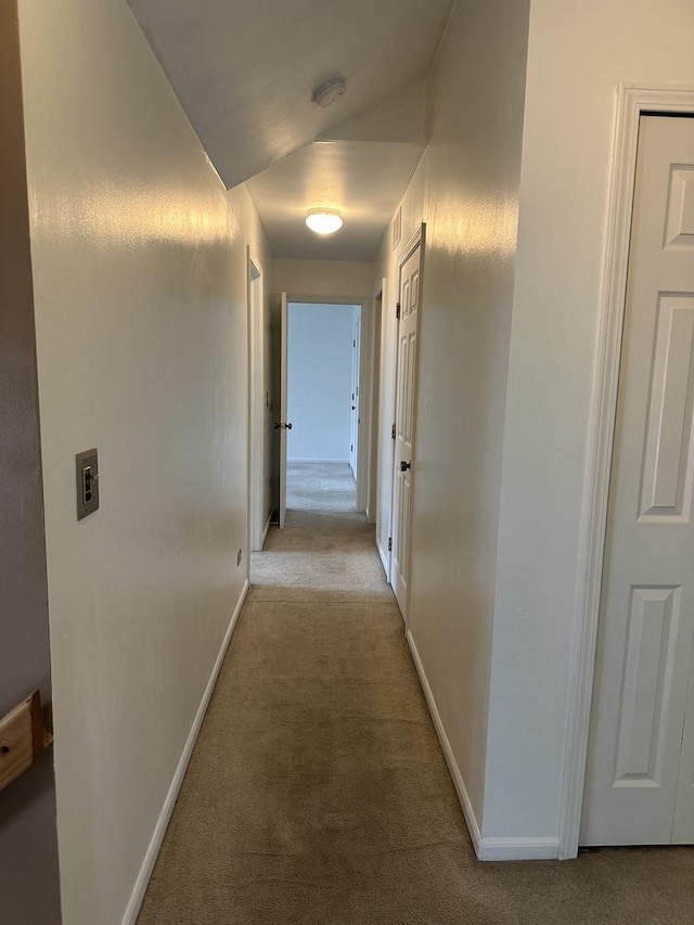 2S809 Grove Ln, Warrenville, IL 60555 - hallway featuring light carpet and baseboards