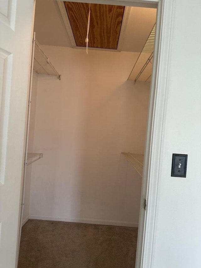 2S809 Grove Ln, Warrenville, IL 60555 - spacious closet with attic access and carpet