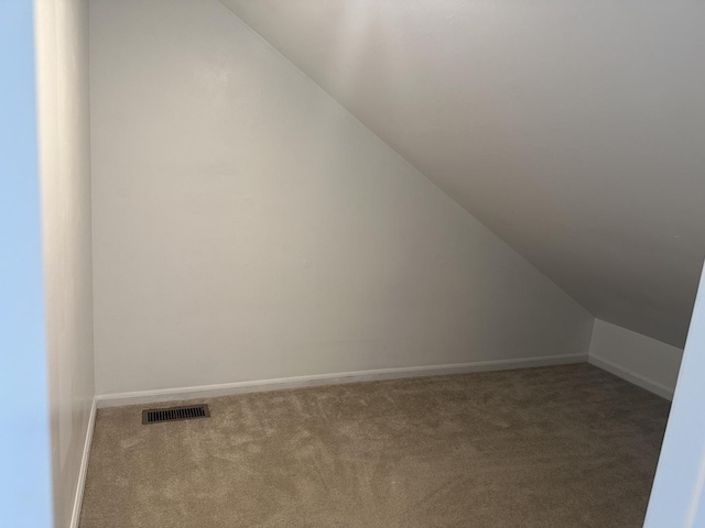 2S809 Grove Ln, Warrenville, IL 60555 - additional living space with vaulted ceiling, carpet flooring, and baseboards