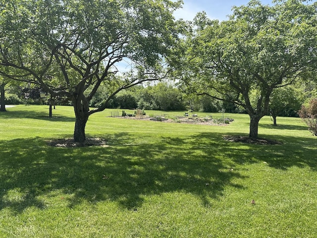 2S809 Grove Ln, Warrenville, IL 60555 - view of grassy yard