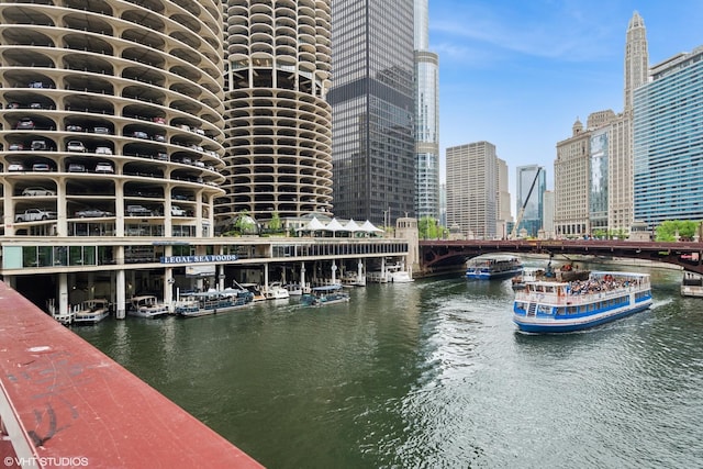 300 N State St Unit 3205, Chicago, IL 60654 - dock area featuring a water view and a city view