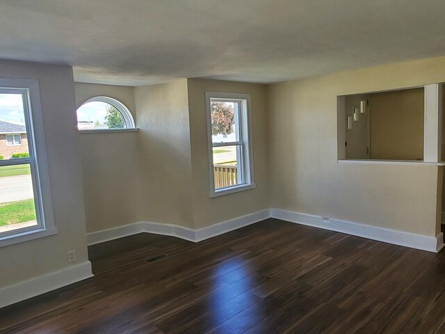 53 N Walnut St, Manteno, IL 60950 - unfurnished room featuring dark wood-style floors, healthy amount of natural light, and baseboards