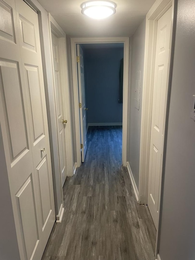 1616 Richmond Cir Unit 101, Joliet, IL 60435 - hall featuring dark wood-style floors and baseboards
