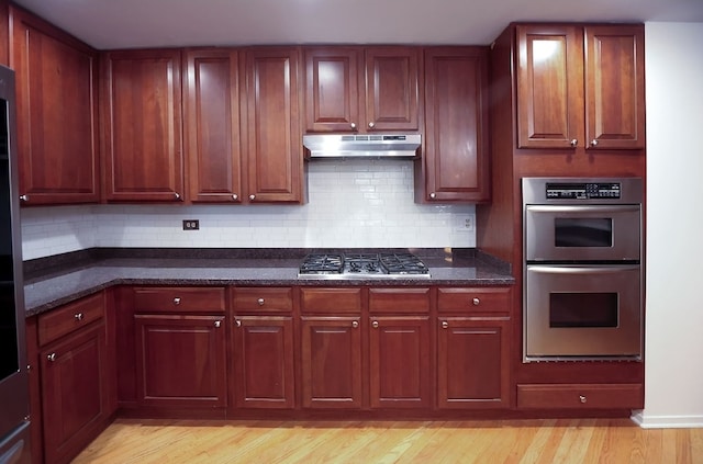 910 S Michigan Ave Unit 1805, Chicago, IL 60605 - kitchen with stainless steel appliances, under cabinet range hood, light wood-style flooring, tasteful backsplash, and dark brown cabinets