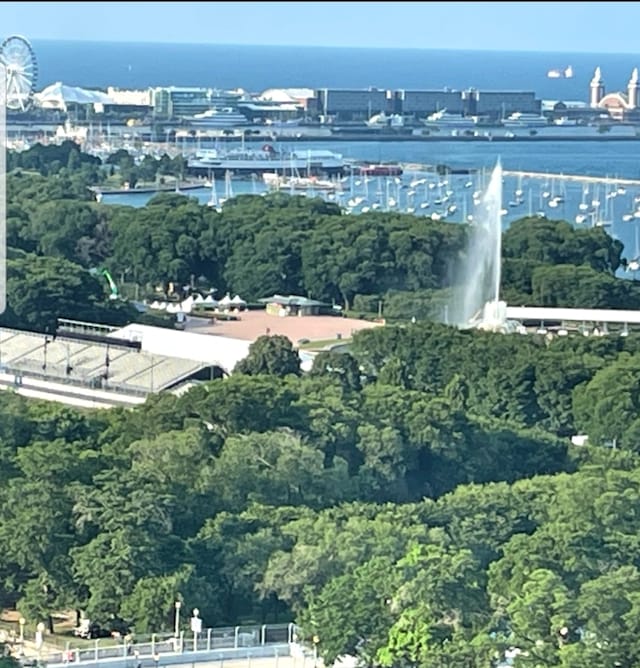 910 S Michigan Ave Unit 1805, Chicago, IL 60605 - bird's eye view of a nearby body of water and a heavily wooded area