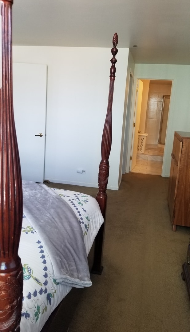910 S Michigan Ave Unit 1805, Chicago, IL 60605 - bedroom featuring carpet flooring