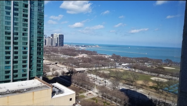 910 S Michigan Ave Unit 1805, Chicago, IL 60605 - water view with nearby urban area