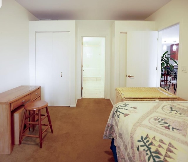 910 S Michigan Ave Unit 1805, Chicago, IL 60605 - bedroom with two closets, carpet floors, and ensuite bath