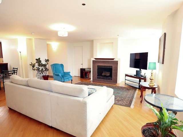 910 S Michigan Ave Unit 1805, Chicago, IL 60605 - living room with light wood-style floors and a fireplace with flush hearth
