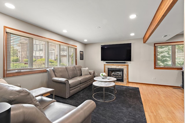 9254 Windsor Pkwy, Tinley Park, IL 60487 - living room featuring plenty of natural light, light wood finished floors, recessed lighting, a high end fireplace, and baseboards