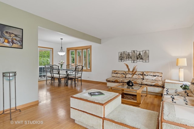 253 Waxwing Ave, Naperville, IL 60565 - living room with light wood-type flooring and baseboards