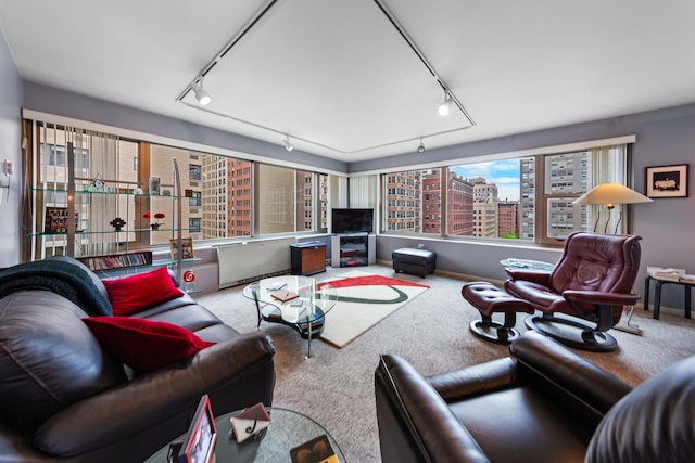 247 E Chestnut St Unit 1102, Chicago, IL 60611 - living area featuring track lighting, carpet floors, and baseboards