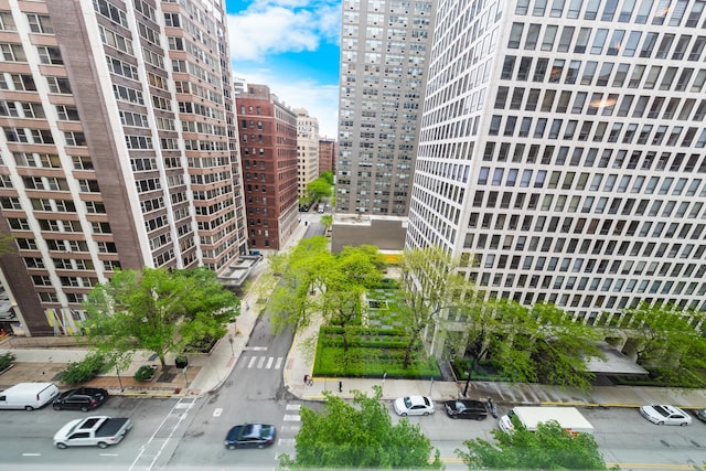 247 E Chestnut St Unit 1102, Chicago, IL 60611 - view of property featuring a city view