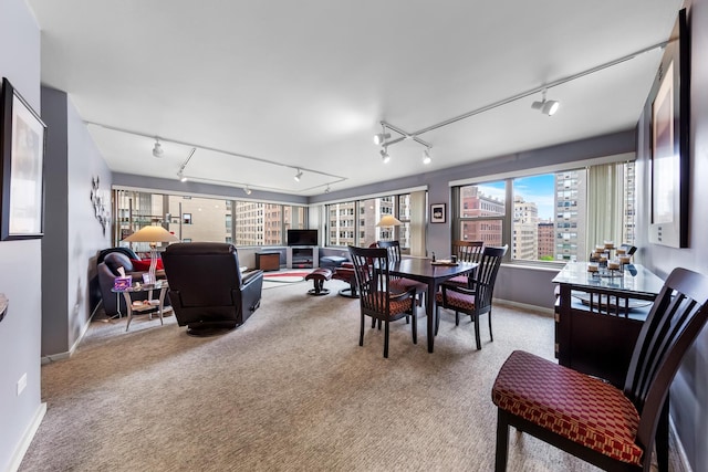 247 E Chestnut St Unit 1102, Chicago, IL 60611 - carpeted dining room with track lighting and baseboards