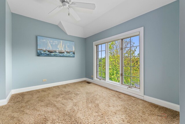 6620 Carriage Way, Long Grove, IL 60047 - photo 27