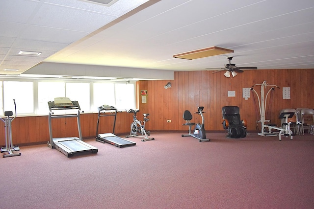 2900 Maple Ave Unit 10E, Downers Grove, IL 60515 - gym featuring light carpet, wooden walls, and a ceiling fan